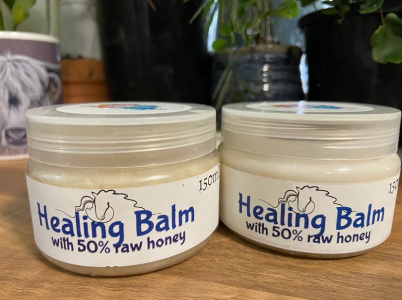 Boston park healing balm