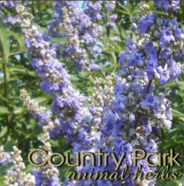 Country Park Chastetree Berries Powder