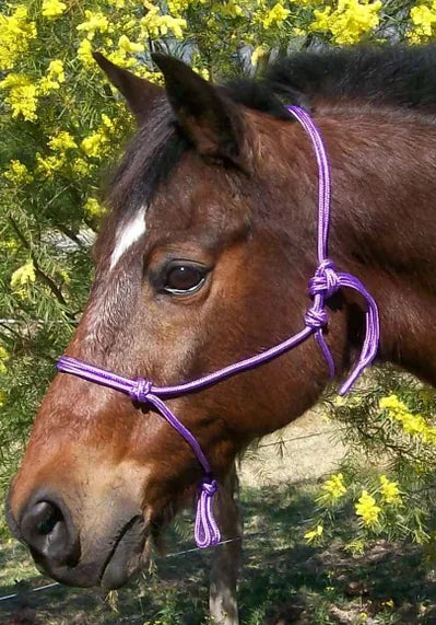 InSync 6mm Rope Halter (Black)