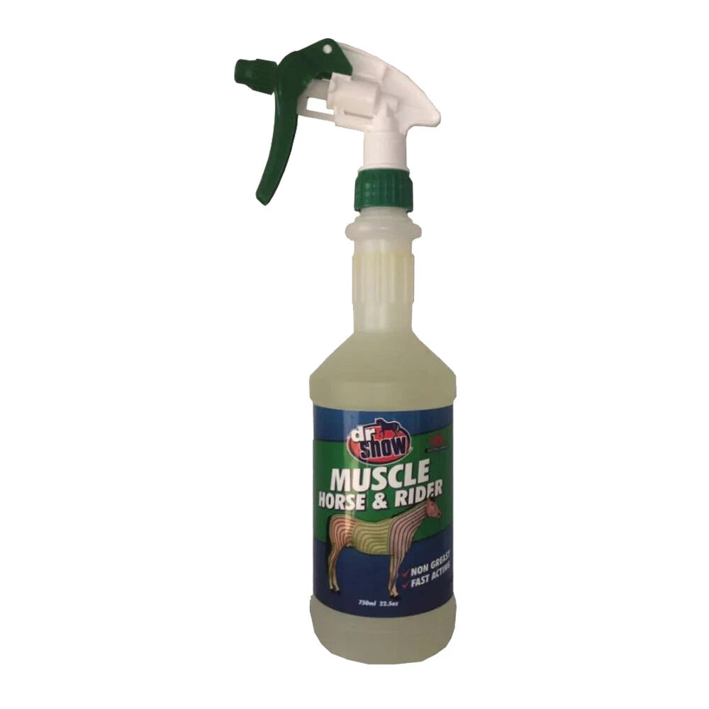 Dr Show Muscle Horse and Rider