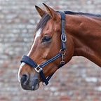 Waldhausen Alcantara Halter