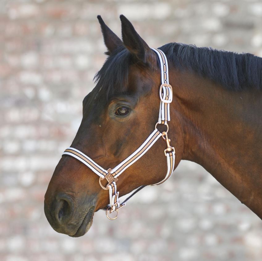 Waldhausen Halter Rose Shine White