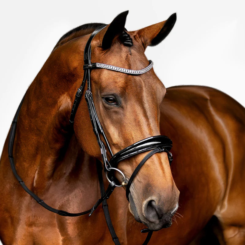 lumiere Amie rolled leather bridle