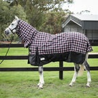 Bounty Hunter Rug