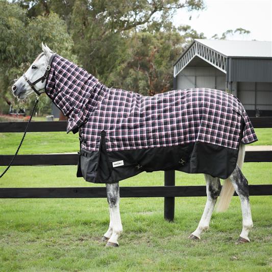 Bounty Hunter Rug