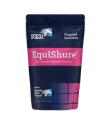 KER Equisure