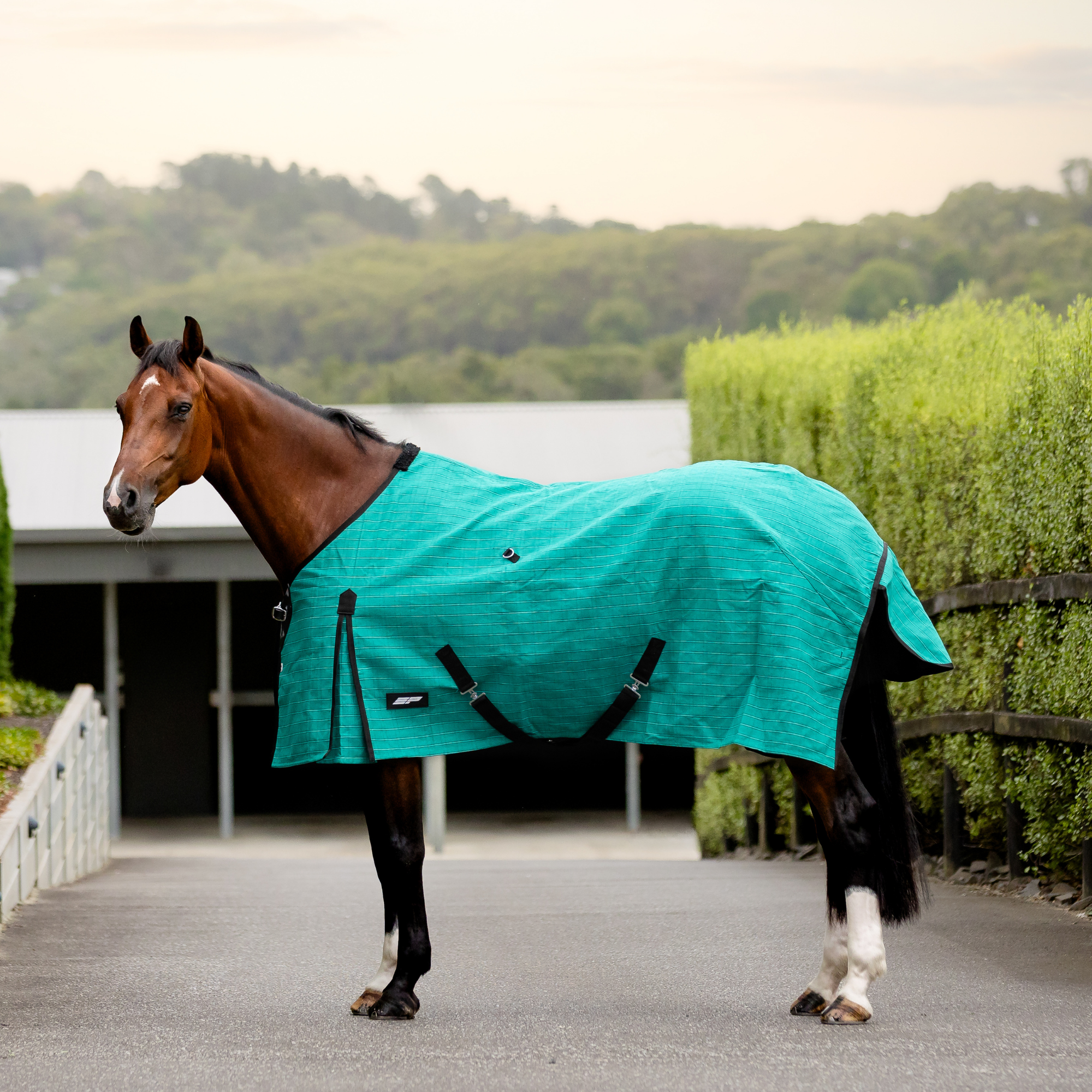 EP Deluxe Lined Canvas Rug