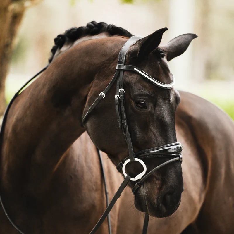 Lumiere Aurelie flat leather bridle