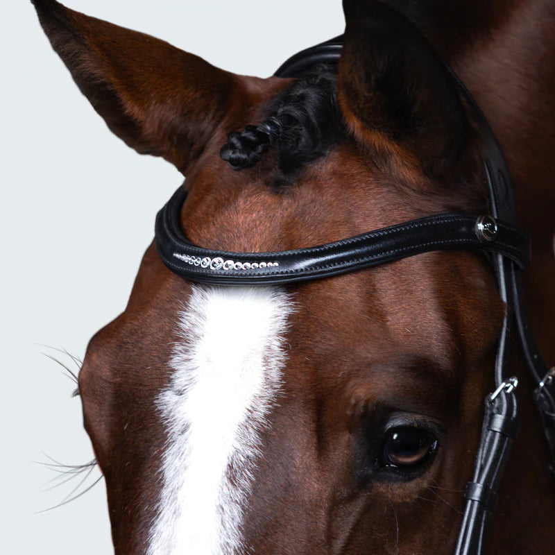 Lumiere Stella bridle