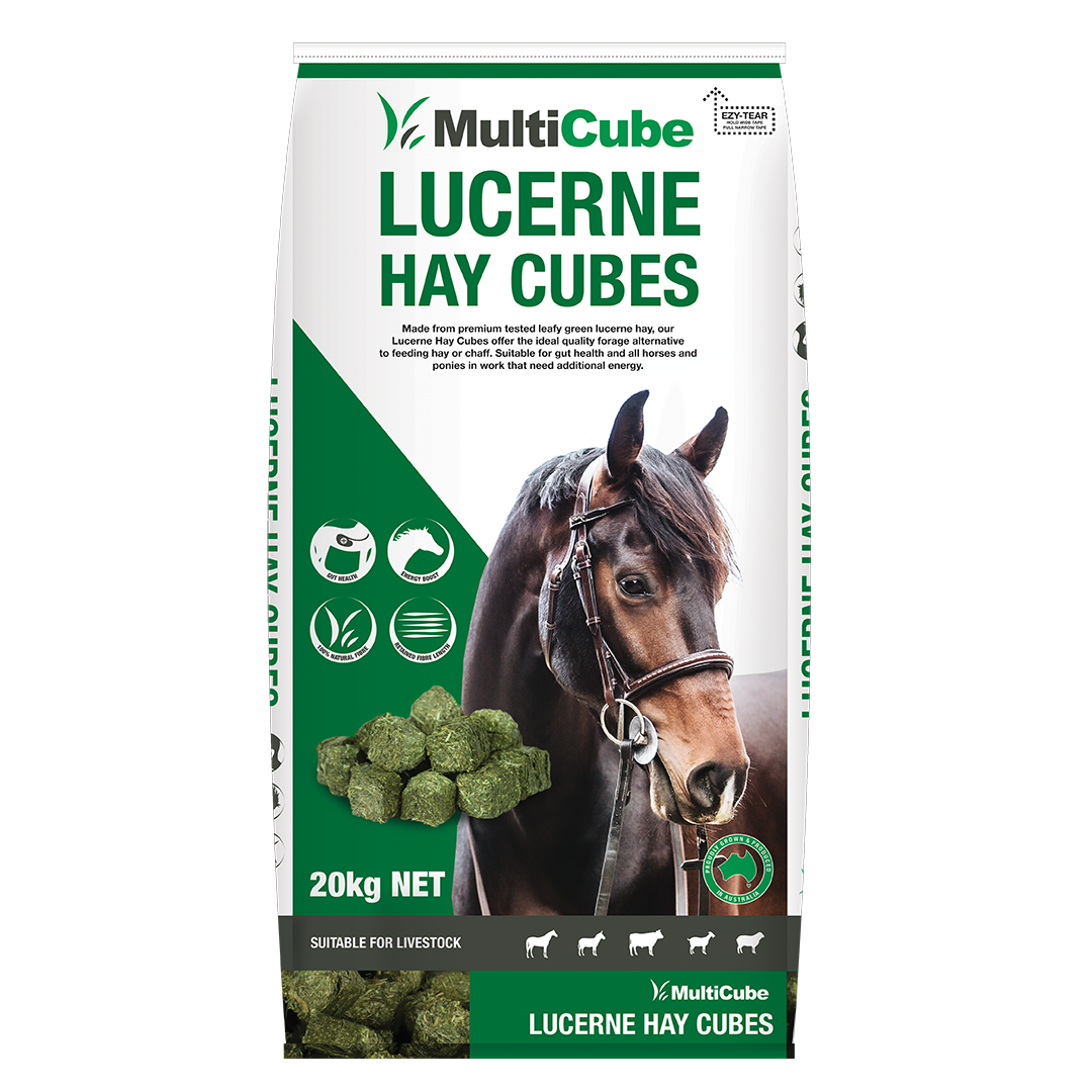 Multicube Lucern Hay Cubes