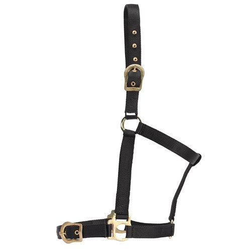 Rancher Horsemanship Halter