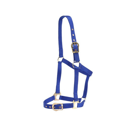 Rancher Horsemanship Halter