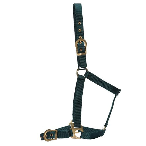 Rancher Horsemanship Halter