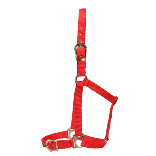 Rancher Horsemanship Halter