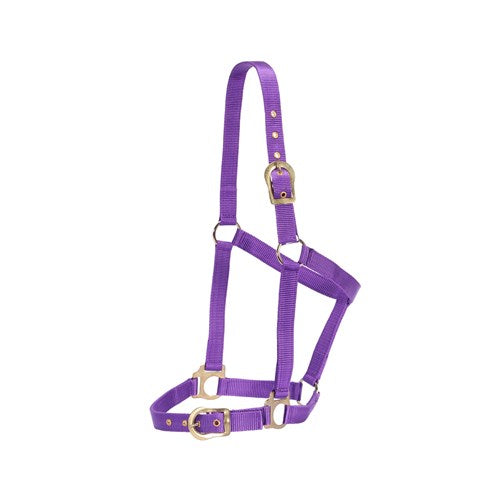 Rancher Horsemanship Halter