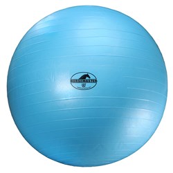 Horsemaster Horse exercise ball