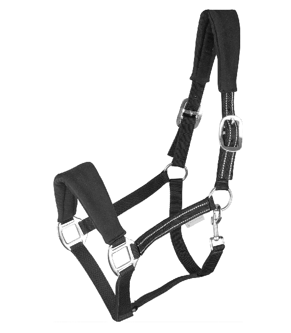 Waldhausen Alcantara Halter