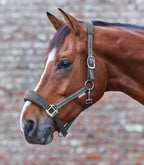 Waldhausen Alcantara Halter