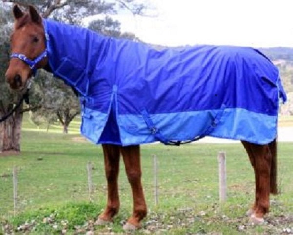 Bounty Hunter Rug