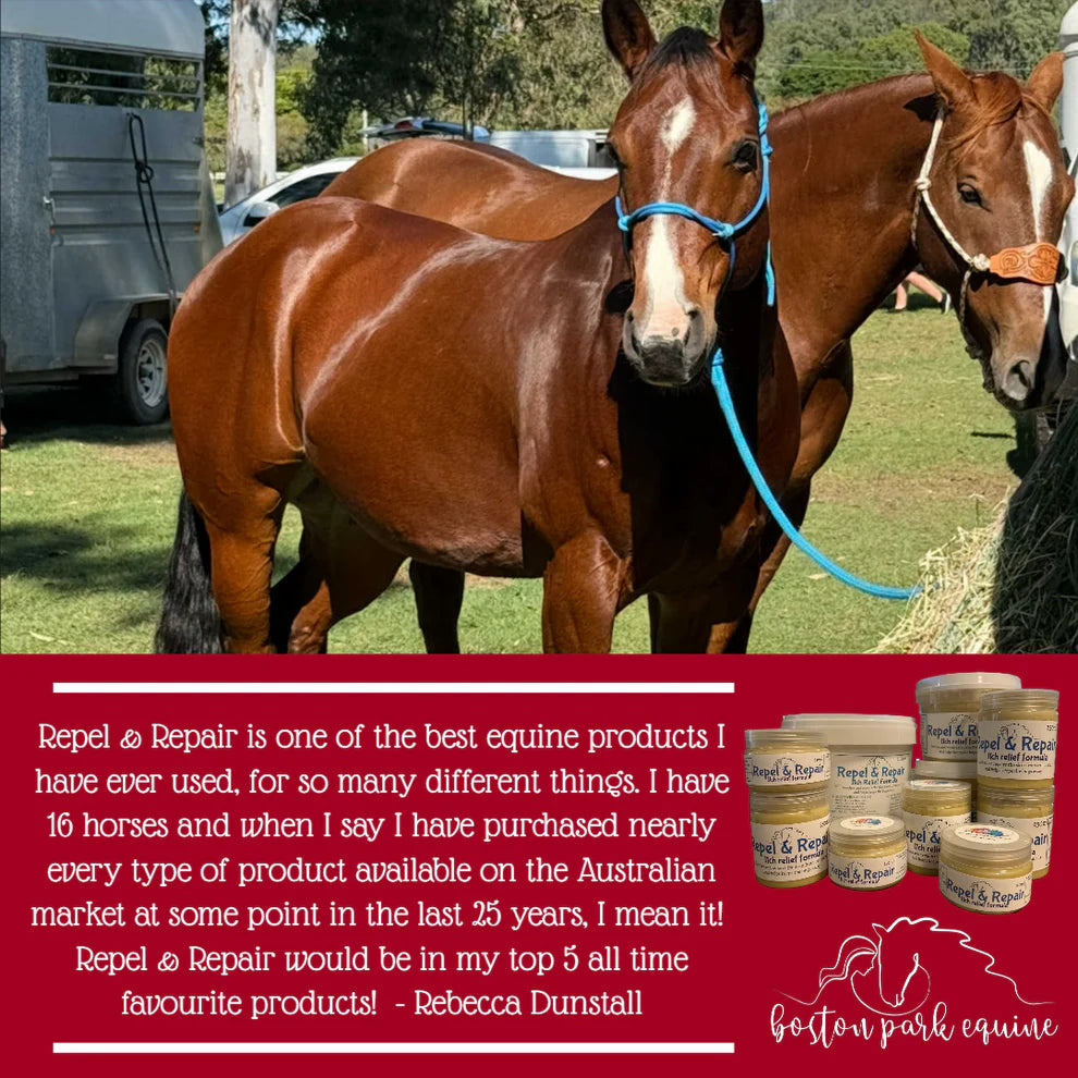 Boston Park Repel & Repair