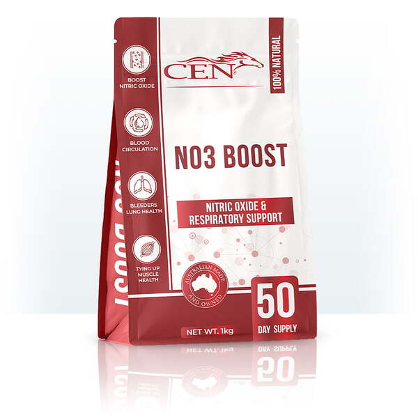 CEN NO3