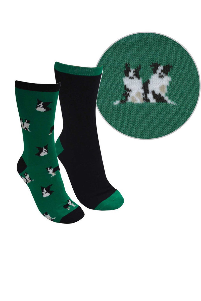 Thomas Cook Farmyard Socks