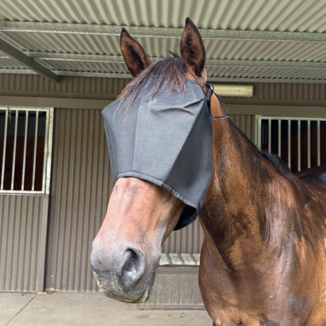 Eureka Everyday Fly Mask