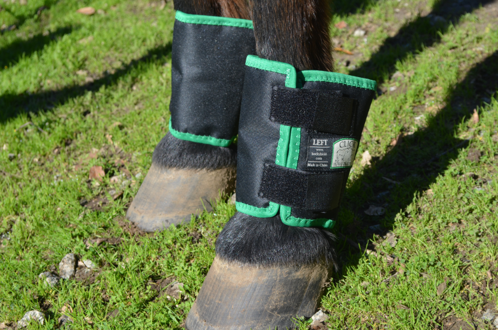 Click Fetlock Shields