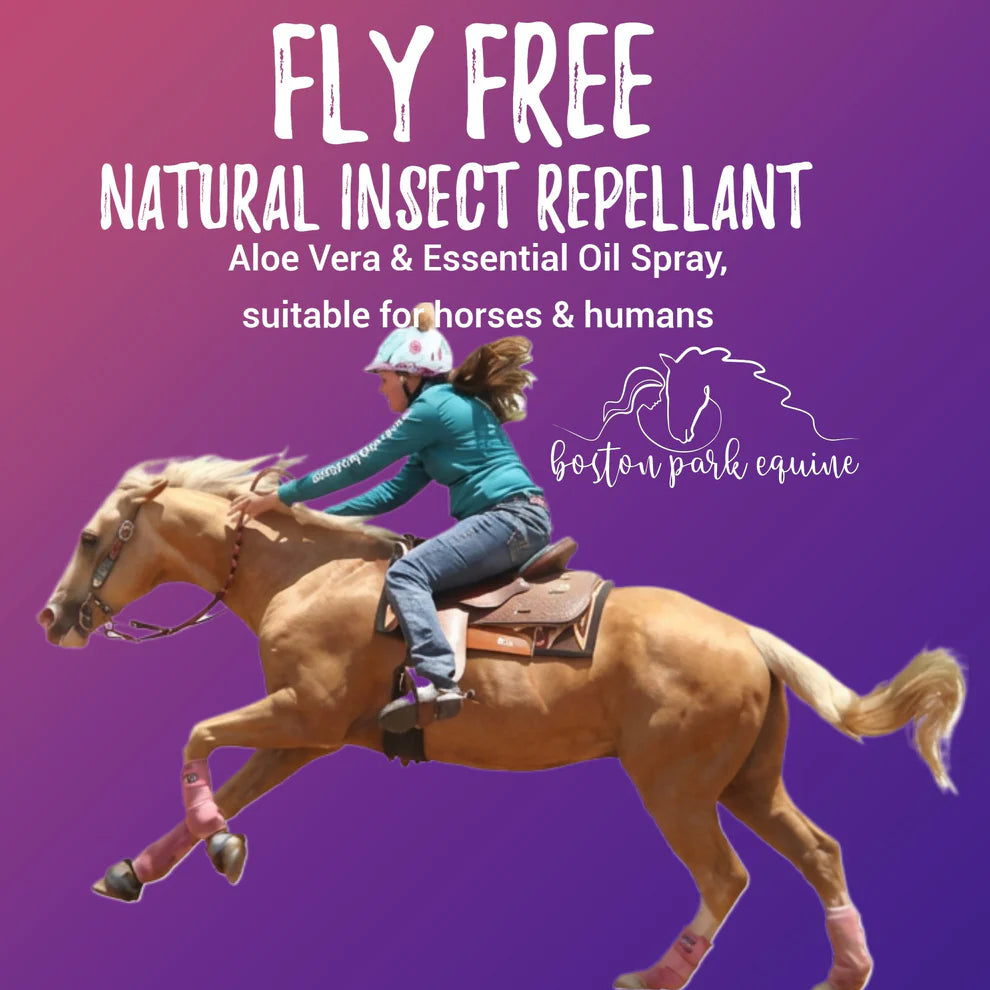 Boston Park Fly Free