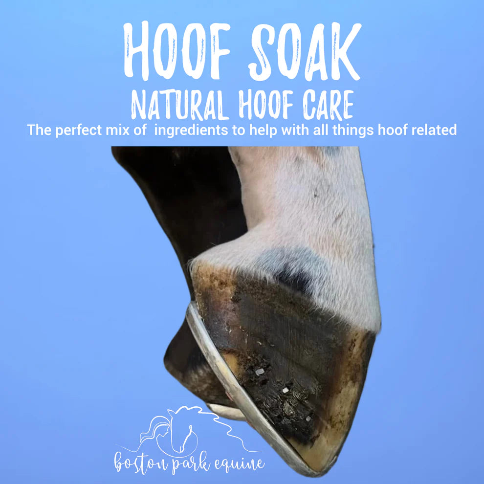 Boston Park Hoof Soak