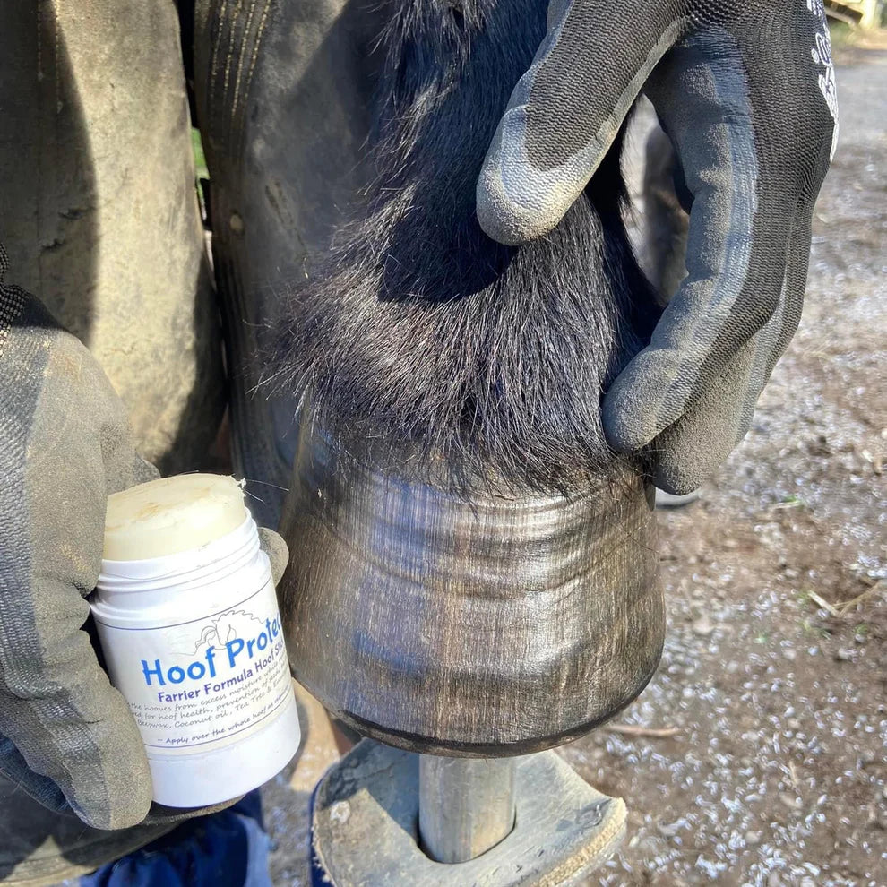 Boston park Hoof protect stick