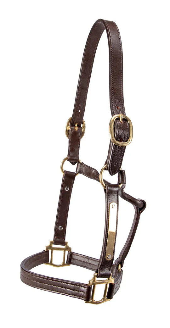 Ord River Thoroughbred Nameplate Halter