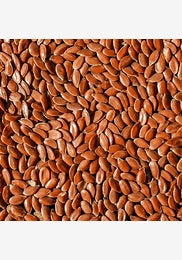 Avigrain linseed