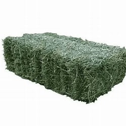 Lucerne Bales
