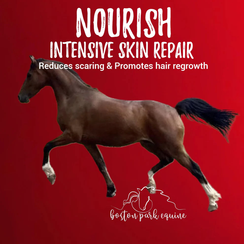 Boston Park Nourish Intensive Skin Repair