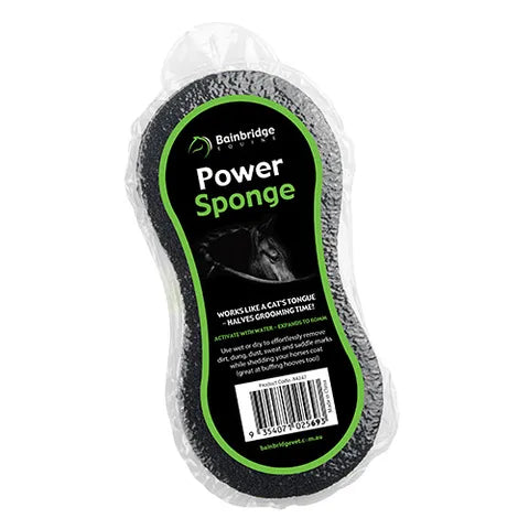 Bainbridge Power Sponge