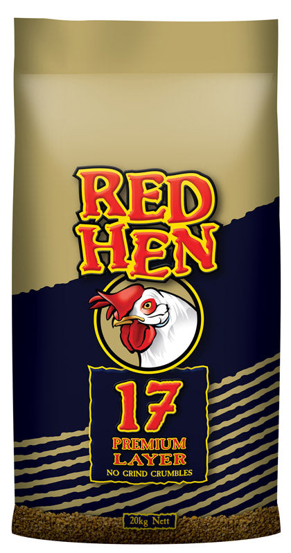 Laucke red hen 17