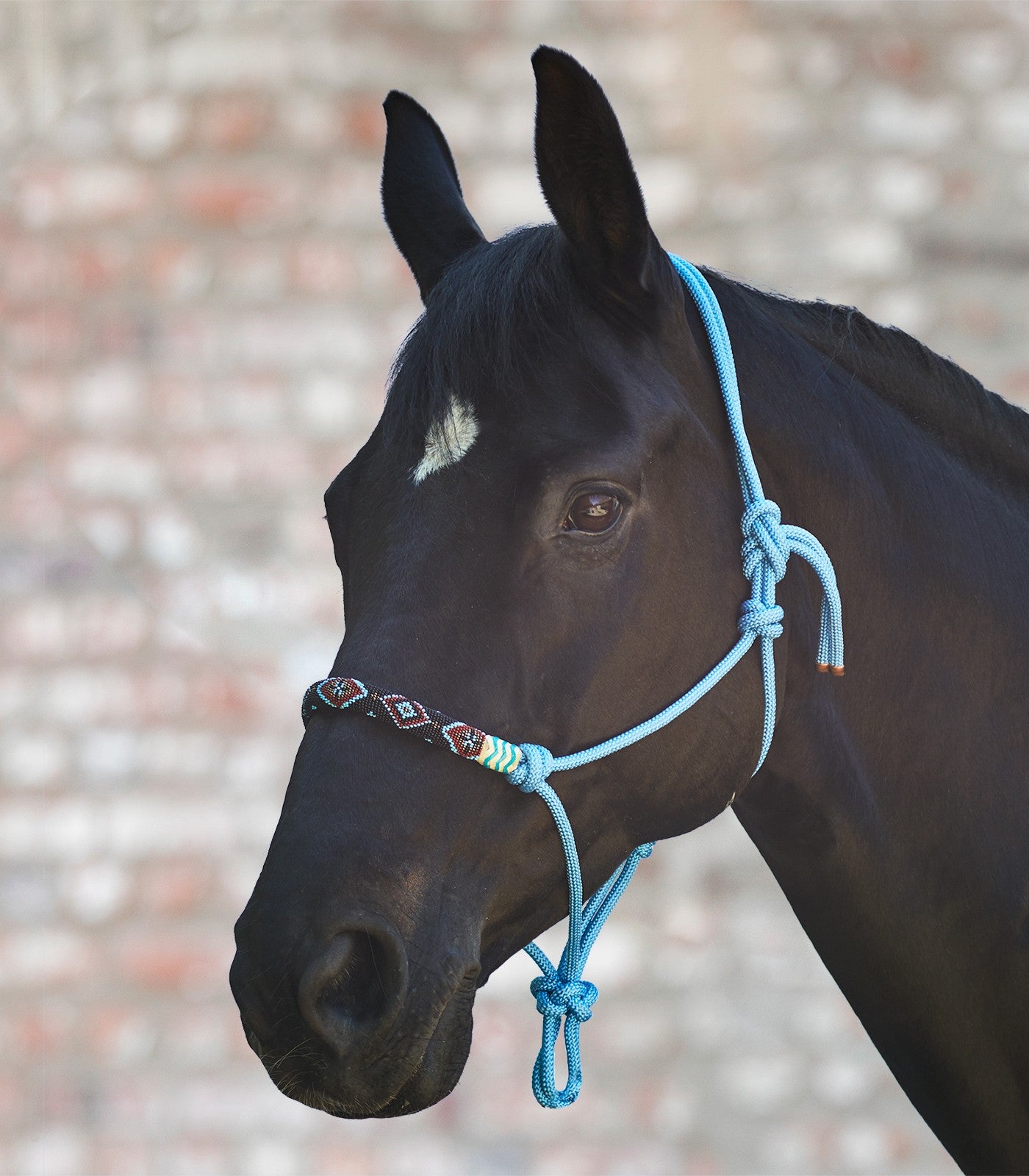 Waldhausen Rope Halter Pearls Azure