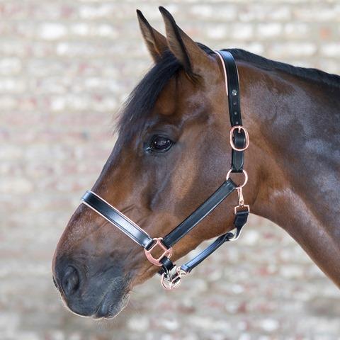 Waldhausen Halter Black & Rose Gold