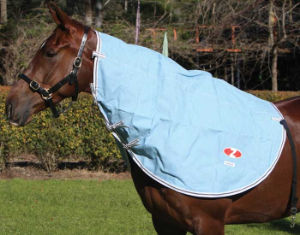 Zilco Hamilton Unlined Canvas Neck Rug