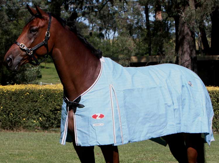 Zilco Hamilton Unlined Canvas Rug
