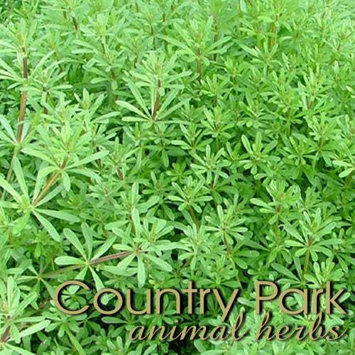 Country Park Clivers Herb Cut