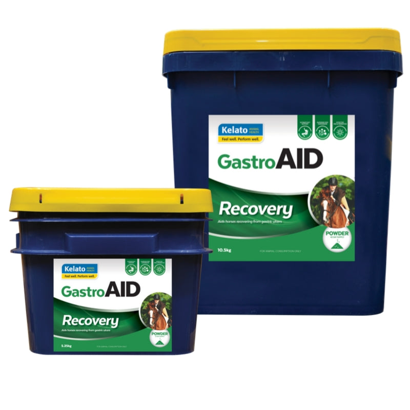 Kelato GastroAid Recovery