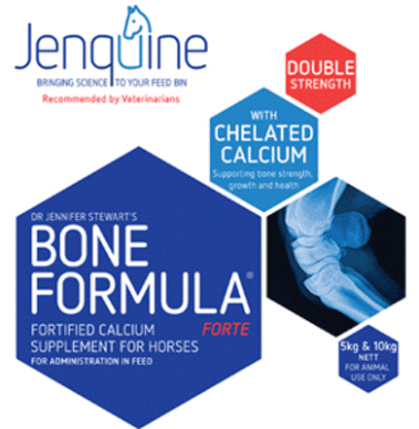 Jenquine BONE FORMULA