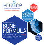 Jenquine BONE FORMULA