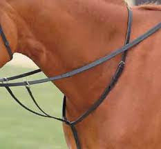 Kincade Running Martingale