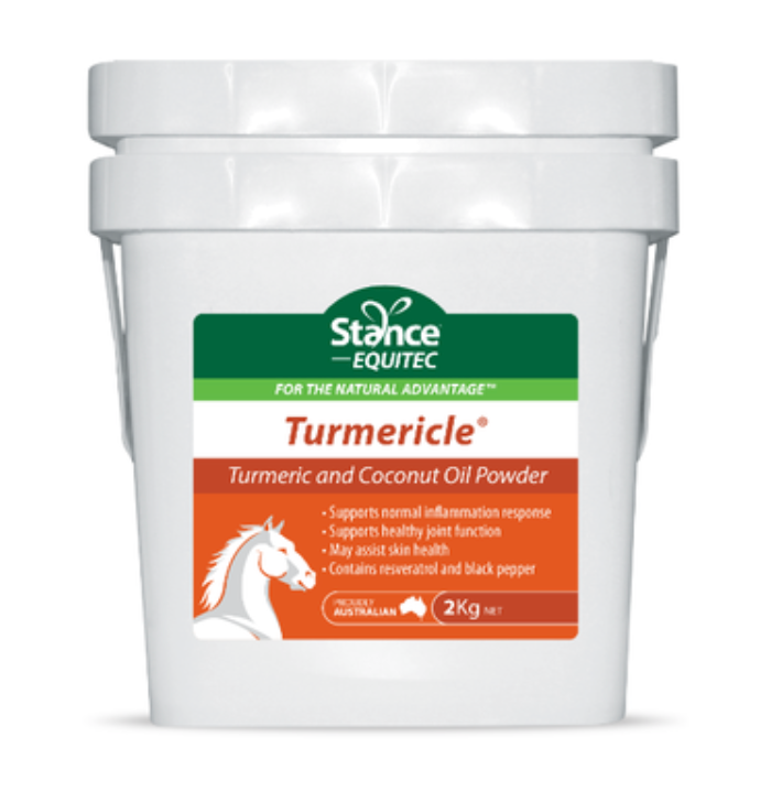 Stance Equitec Turmericle