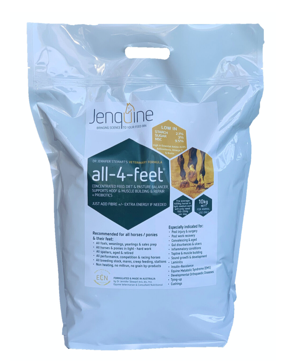 Jenquine All 4 Feet