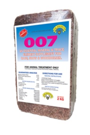 Olsson's 007 Horse Block