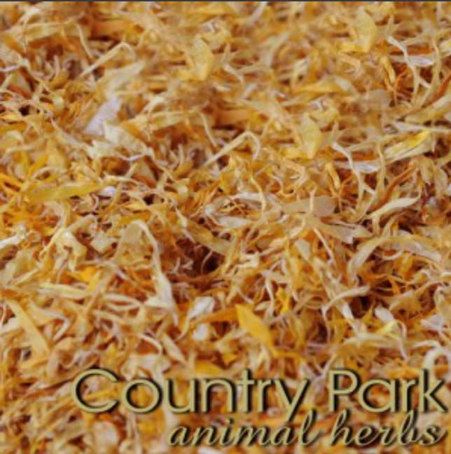 Country Park Calendula Petal